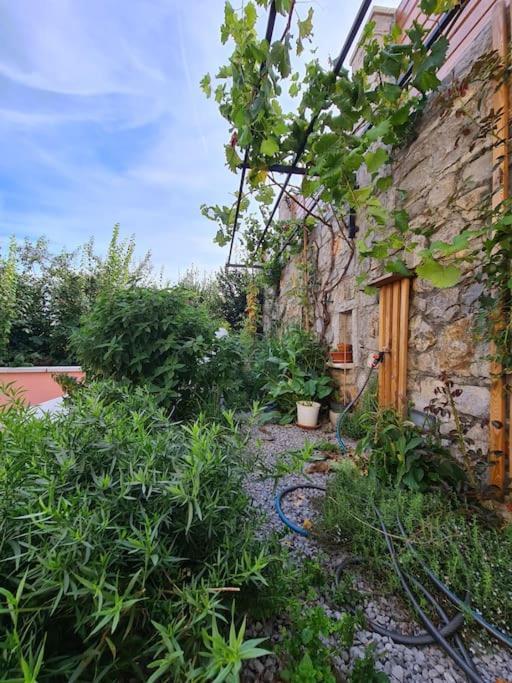Hisa Idej Διαμέρισμα Sežana Εξωτερικό φωτογραφία